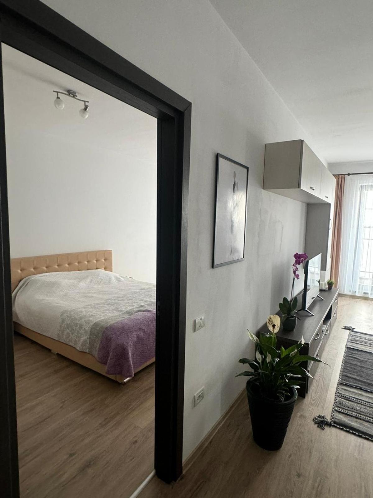 Apart Mihai Viteazu Residence Braşov Exteriör bild